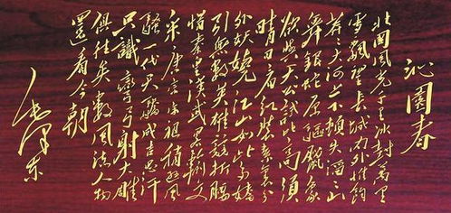 总想“管满”宿主的奇幻之旅