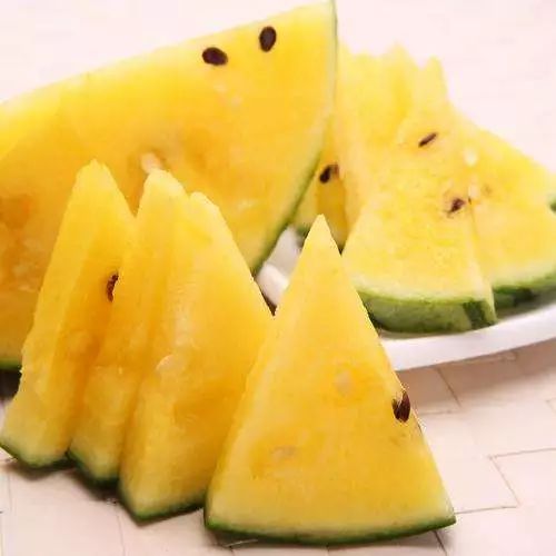 探索629黑瓜吃料网——您的美食探索之旅从这里开始